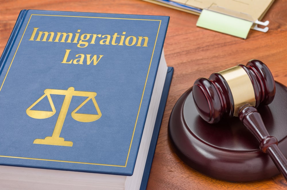 Read more about the article The Importance Of Immigration Rights Advocates